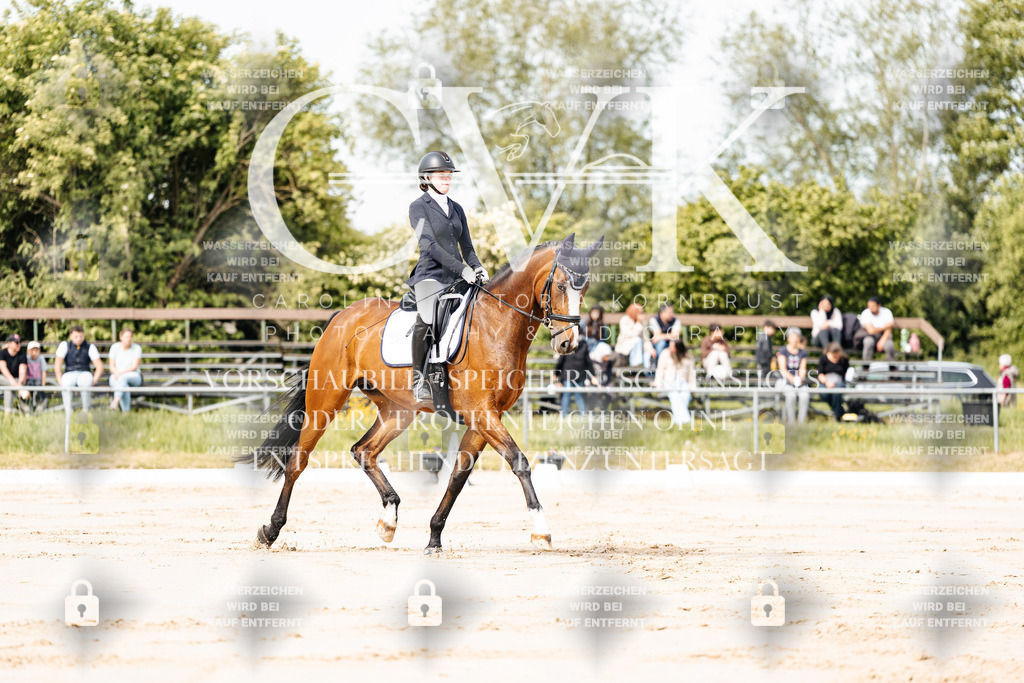 CK900678 | Turnierfotografie Pferdefotografie Trier Rheinland-Pfalz Pferdesport Reitsport Tierfotografie Sportfotografie Pferdevideo Pferdevideografie Equestrianvideography equestrianphotography  - Realisiert mit Pictrs.com