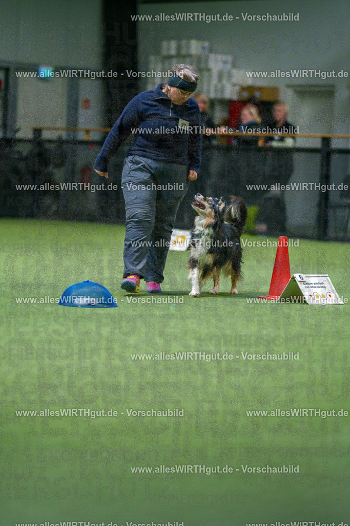 7R504291 | Professionelle Tierfotografie in Mönchengladbach von Daniel Wirth (allesWIRTHgut). Liebevolle & natürliche Bilder von Hunden & Katzen für unvergessliche Erinnerungen.