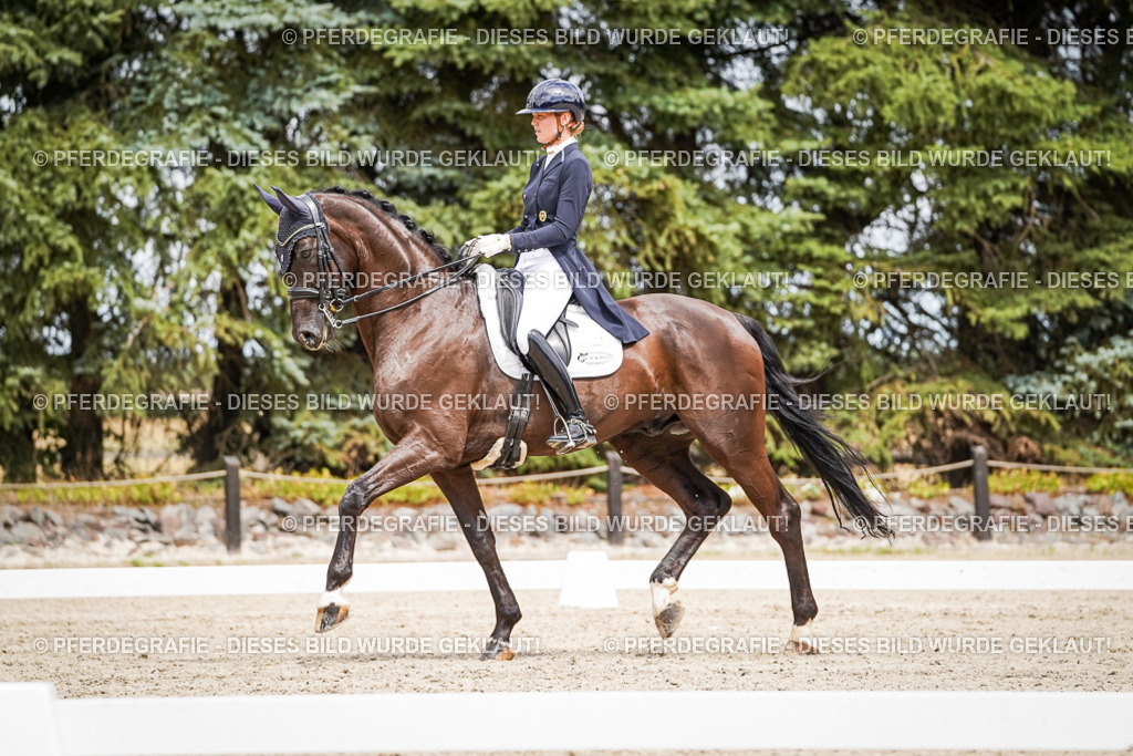 DSC05983 | Pferdegrafie