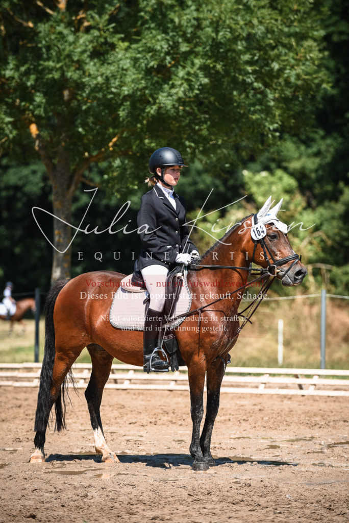 DSC_3032 | Pferde- und Turnierfotografie in Westsachsen. Pferdeportraits, Auftragszeichnungen und intuitive Kunst.