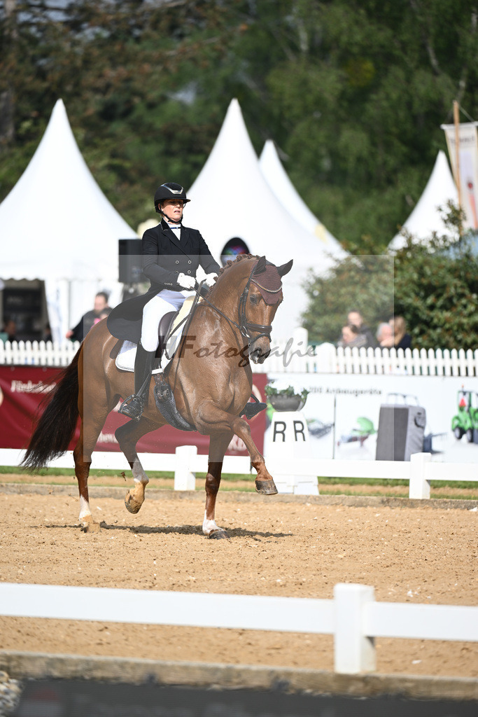 Rhomberg-Rochelt_D Rex RR_12240073 | hf-fotografie - Realisiert mit Pictrs.com