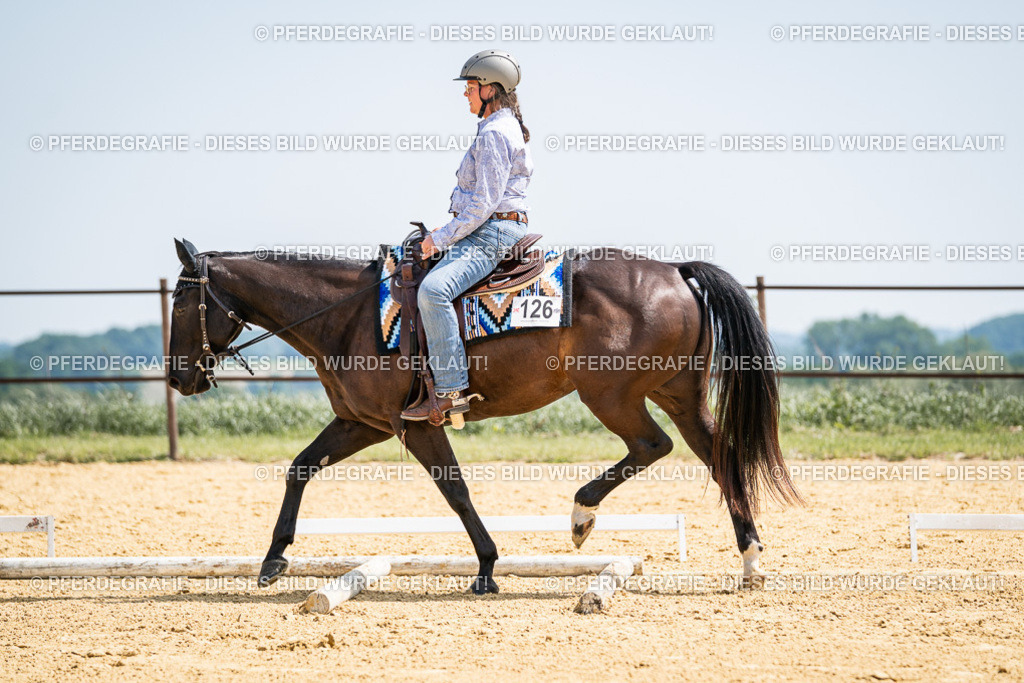 DSC00635 | Pferdegrafie