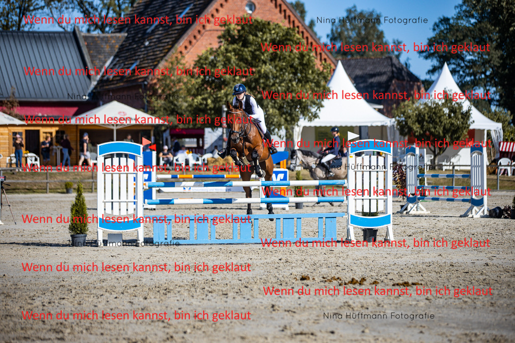 BK1A5867 | Turnierbilder Turnierfotos Nina Hüffmann Turnierfotografie Pferdefotografie Tierzeichnung Haustierzeichnung Pferdezeichnung Hundezeichnung Videograf  - Realisiert mit Pictrs.com