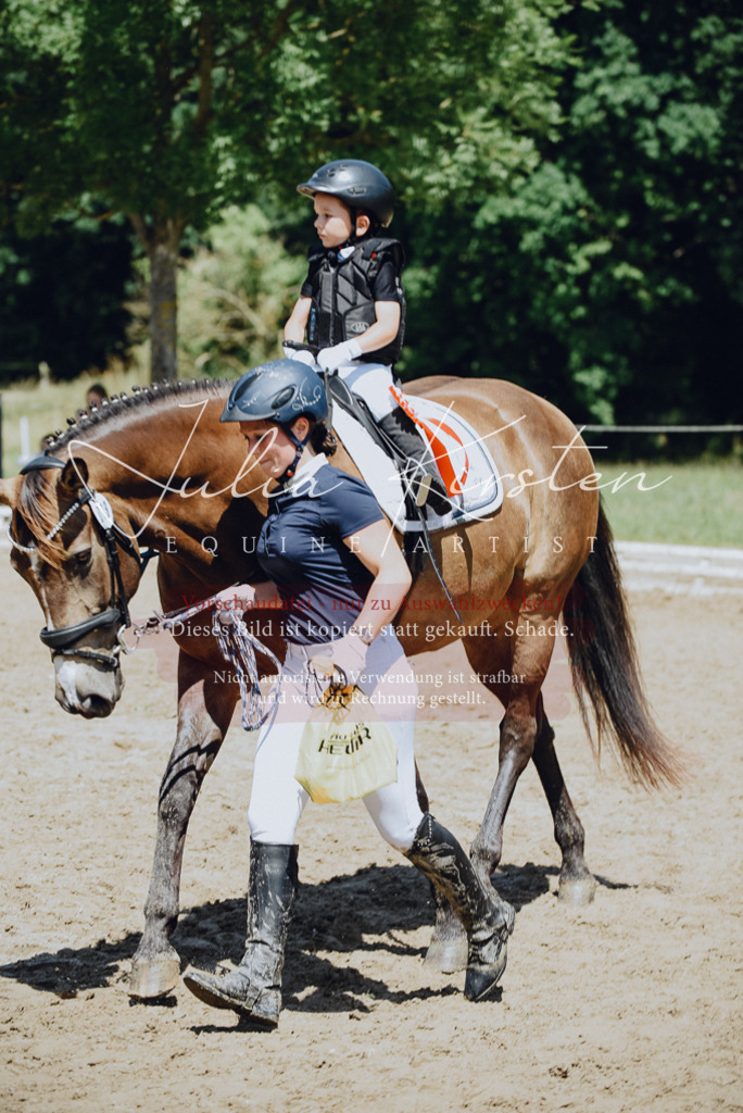 DSC_2729 | Pferde- und Turnierfotografie in Westsachsen. Pferdeportraits, Auftragszeichnungen und intuitive Kunst.