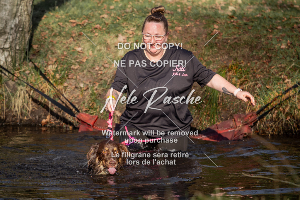 nelerasche_FS0900-1000_191 | nelerasche