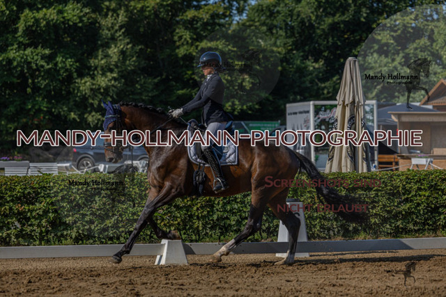 15.8.25 D1 RPF 3j (238 von 255) | mandyhollmannphotographie
