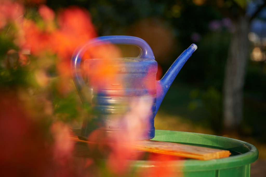 Blaue Giesskanne | Austria - August 30, 2015: Blaue Giesskanne auf grüner Regentonne stehend, im Vordergrund unscharf rote Blumen. - Realisiert mit Pictrs.com