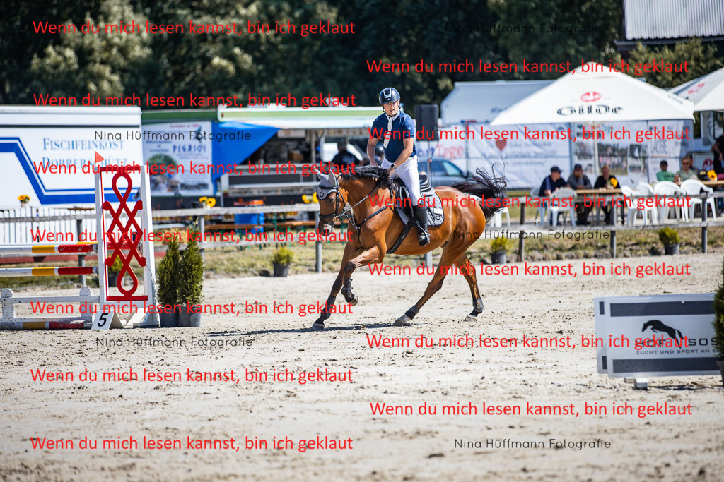 BK1A5242 | Turnierbilder Turnierfotos Nina Hüffmann Turnierfotografie Pferdefotografie Tierzeichnung Haustierzeichnung Pferdezeichnung Hundezeichnung Videograf  - Realisiert mit Pictrs.com