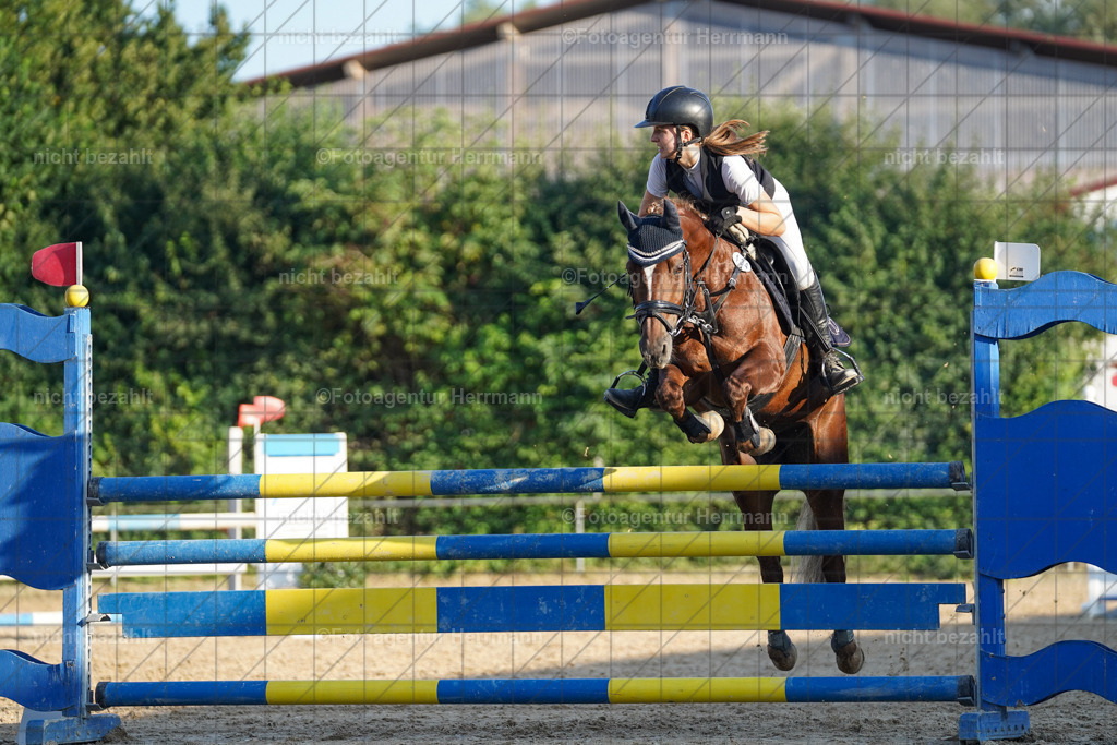20240824-FAH08787 | Thierhaupten 2024, Bayerisches Landesponyturnier, Turnierbilder, Ponybilder, Turnierfotografen Bayern, Fotoagentur Herrmann