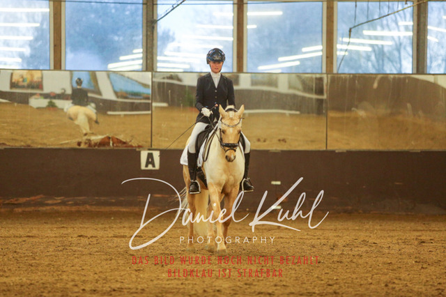 IMG_7039 | Turniersportfotografie; Pferdefotografie; Dressurfotografie