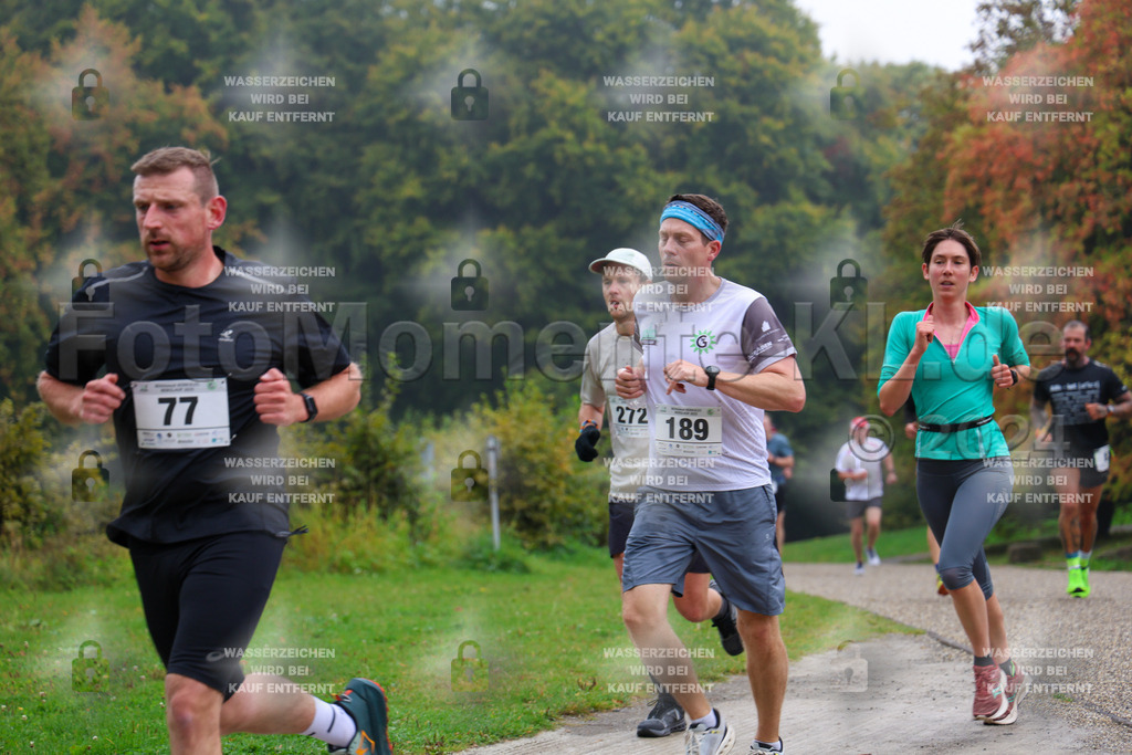 R6_ (110) | la-psv - Realisiert mit Pictrs.com