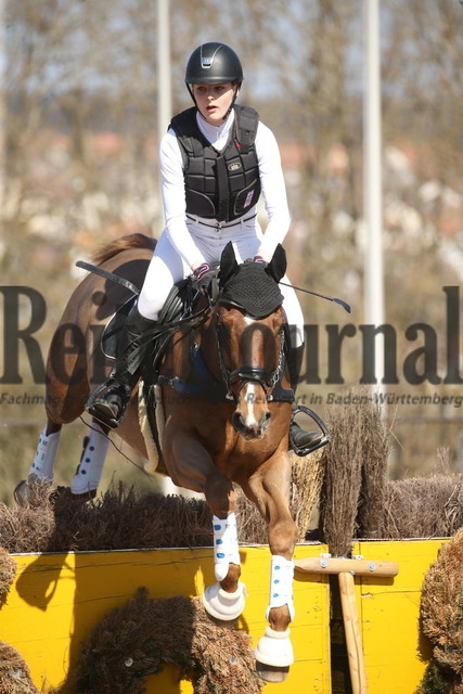 Altensteig_02-2022_Luisa Semle_Daredevil B (2) | Alle Fotos der Reiterjournal Fotografin Doris Matthaes im Reiterjournal Online-Fotoshop. - Realisiert mit Pictrs.com
