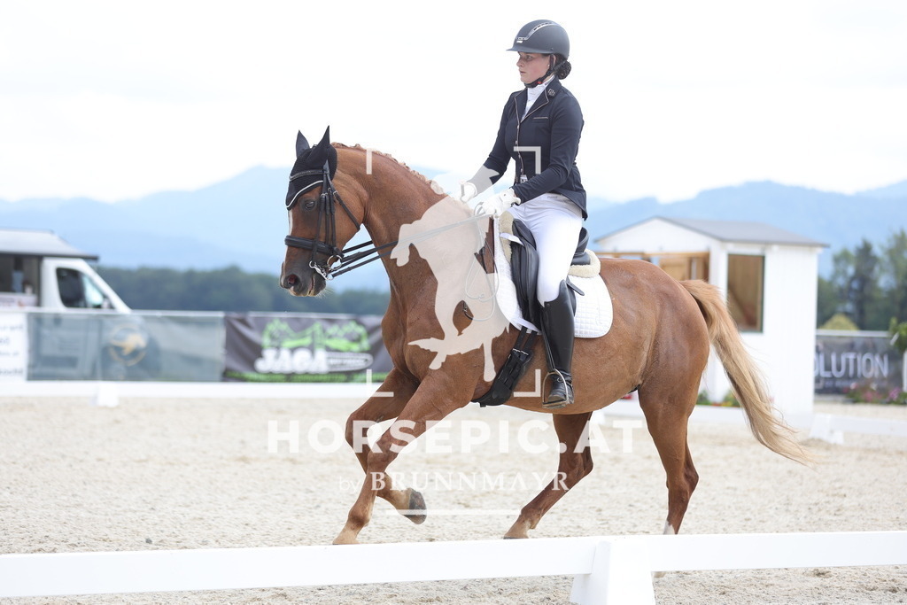 0P6A4963 | Willkommen bei Brunnmayr - Design & Fotografie – Ihrem Spezialisten für Reitturniere und Pferdeveranstaltungen in Oberösterreich, Salzburg und Bayern! Seit über 17 Jahren sind wir leidenschaftlich dabei.