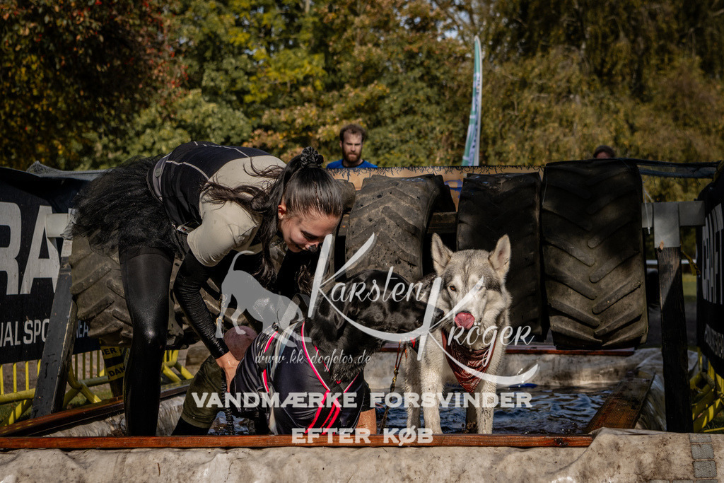 1302_ZZ91749 | kk-dogfotos