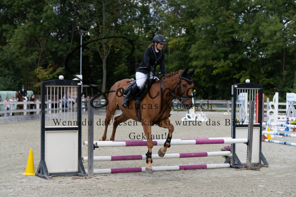 A7V07306 | Turnier/Reitfotograf