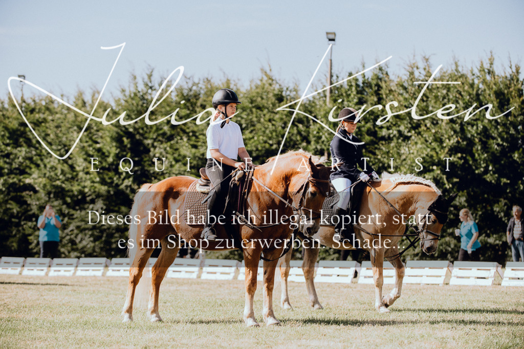 DSC_7010 | Pferde- und Turnierfotografie in Westsachsen. Pferdeportraits, Auftragszeichnungen und intuitive Kunst.