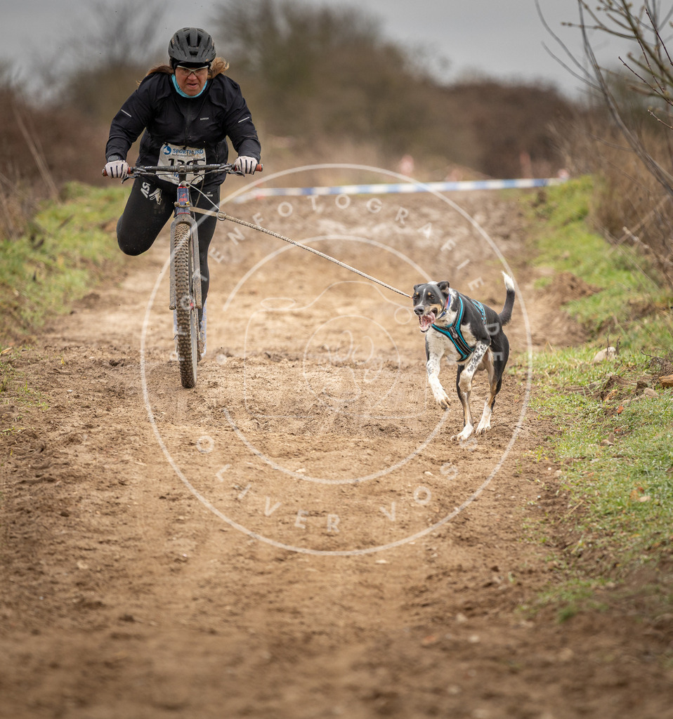 DV3A1379 | Hundefotografie, Tierfotograf, Pfotenfotografie, Fotoshooting Hund, Hunde Portrait, Hundesport, Hundeportraits, Heideshooting, Hunde, Sportfotograf, Hundefotograf, Turnierhundsport, THS,  - Realisiert mit Pictrs.com