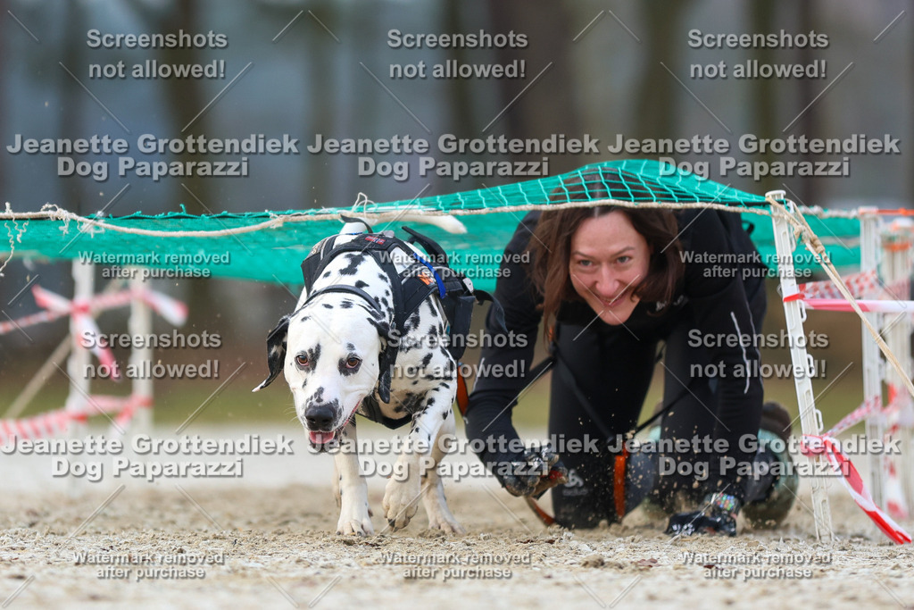 Dog Paparazzi - Strongdog North Mrz26-3660 | Dog Paparazzi Jeanette Grottendiek Fotografie & Videografie - Realisiert mit Pictrs.com