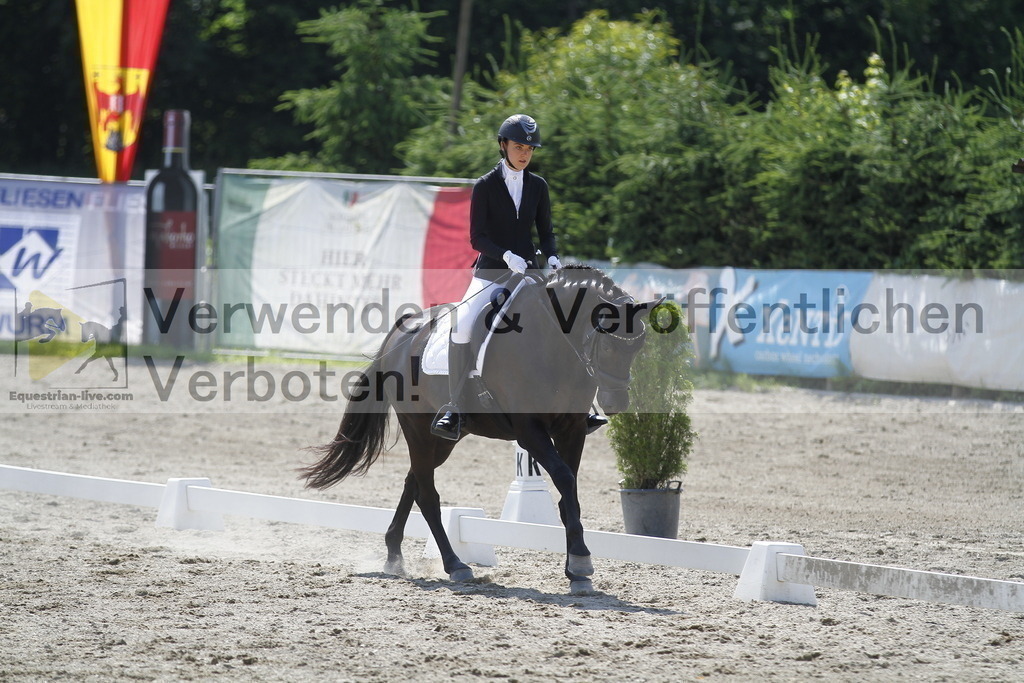 _MG_2010 | equestrian-live-com