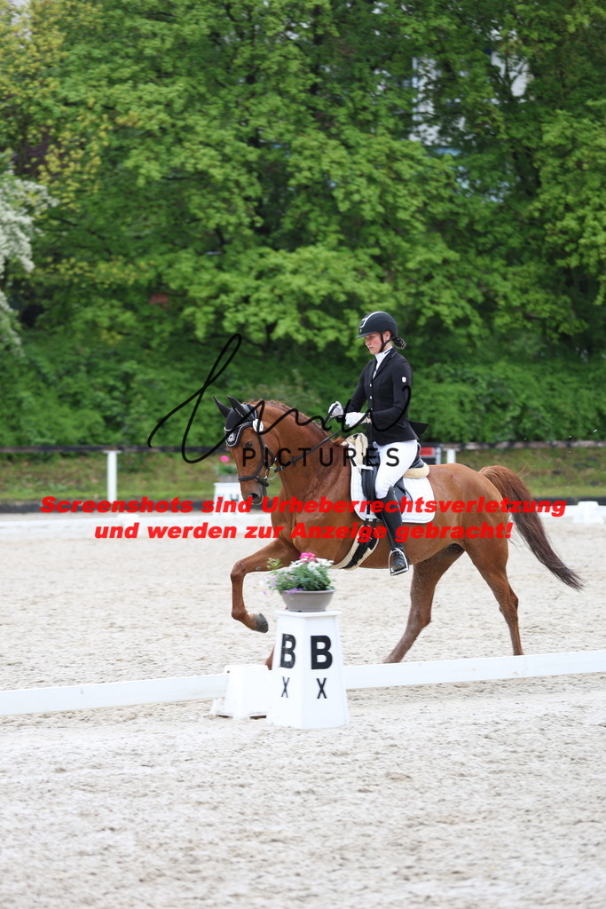 A40A9665 | lmwpictures - Realisiert mit Pictrs.com