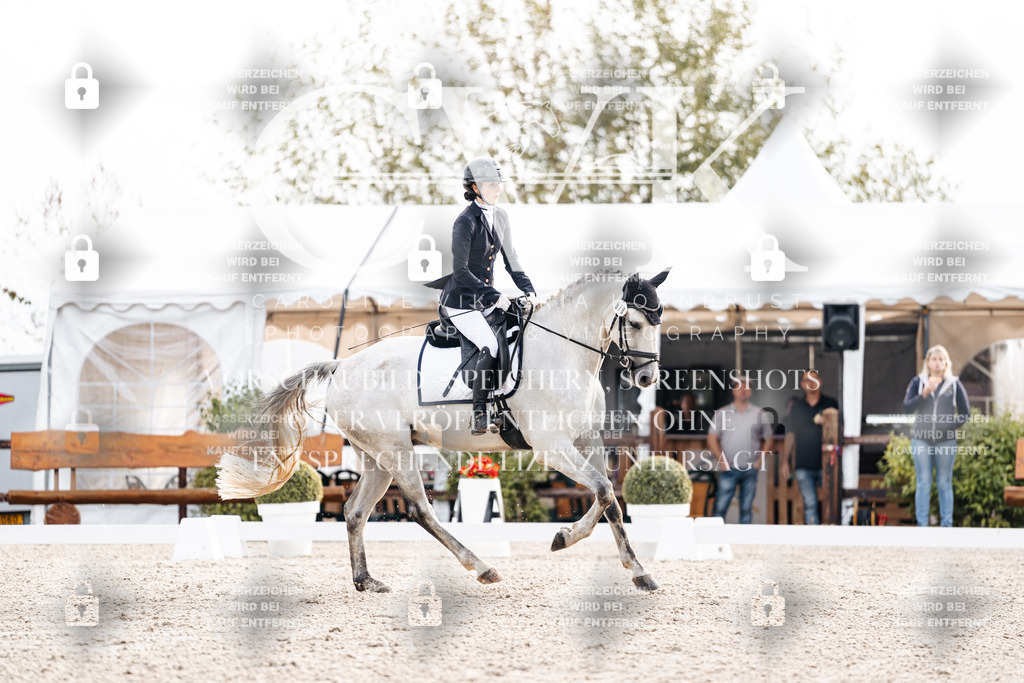 CK900519 | Turnierfotografie Pferdefotografie Trier Rheinland-Pfalz Pferdesport Reitsport Tierfotografie Sportfotografie Pferdevideo Pferdevideografie Equestrianvideography equestrianphotography  - Realisiert mit Pictrs.com