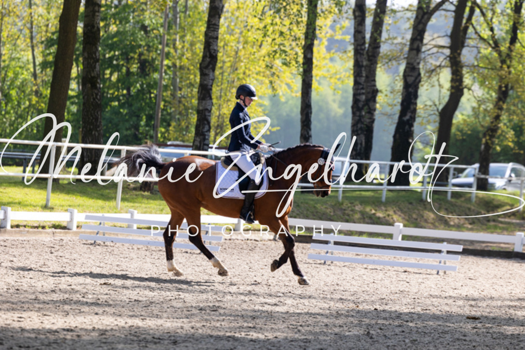 7I8A1290 | melanie-engelhardt-photography - Realisiert mit Pictrs.com