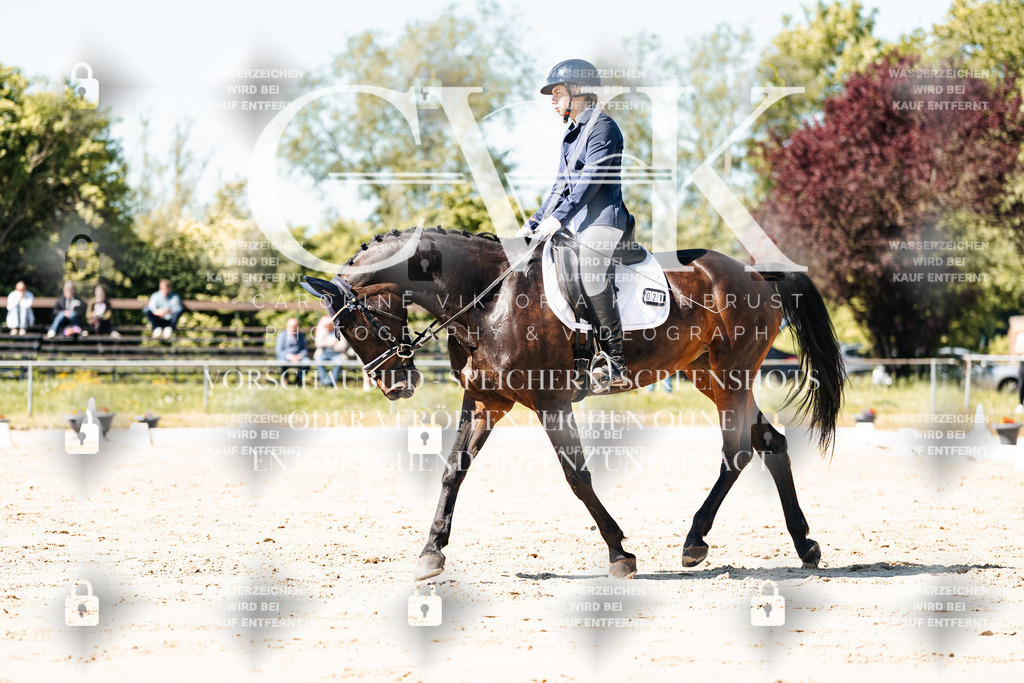 CK905366 | Turnierfotografie Pferdefotografie Trier Rheinland-Pfalz Pferdesport Reitsport Tierfotografie Sportfotografie Pferdevideo Pferdevideografie Equestrianvideography equestrianphotography  - Realisiert mit Pictrs.com