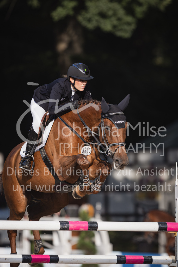 230910_OWLCh_Youngster8y-810 | Deine schönsten Turniermomente als professionelle Fotos! Entdecke hochwertige Pferdesport-Fotografie im Online-Shop. Jetzt Fotos finden & bestellen!