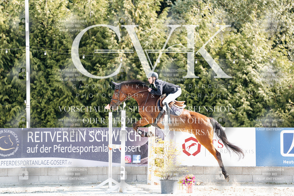 CK902435 | Turnierfotografie Pferdefotografie Trier Rheinland-Pfalz Pferdesport Reitsport Tierfotografie Sportfotografie Pferdevideo Pferdevideografie Equestrianvideography equestrianphotography  - Realisiert mit Pictrs.com