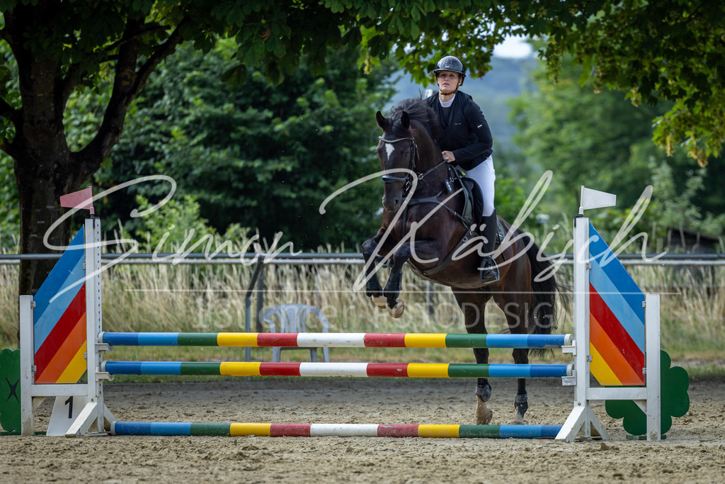 20260704-_3LI6856 | Tierfotografie Pferde, Hunde, Katzen, Haustiere.
Turnierfotografie Reitturniere, Reiten, Springreiten, Dressur in Hanau, dem Main-Kinzig-Kreis und dem Rhein-Main- Gebiet um Frankfurt