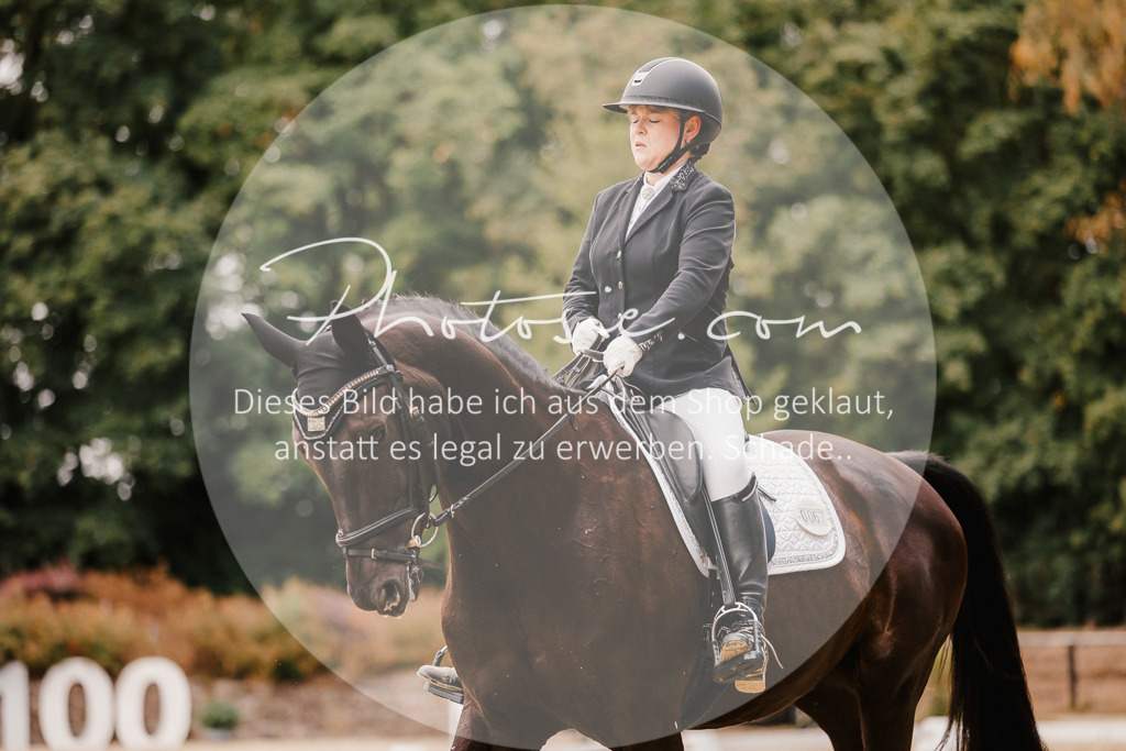 3I6A5995 | Stimmungsvolle Portraits und Reitsportfotografie im Ruhrgebiet und im Münsterland.

Pferdefotografie, Hundefotografie, Tierfotografie, Reportagen, Portraits von Tier und Mensch, Turnierfotografie in Bochum, Recklinghausen, Marl, Haltern am See, Dülmen.. - Realisiert mit Pictrs.com