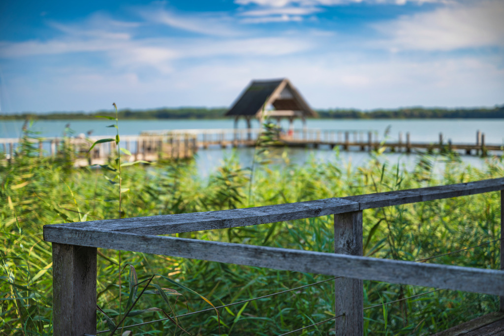2025_09_20_SH-HEMMELSDORFER SEE+SCHARBEUTZ_MCP2693 | Hochwertig gedruckte Fotografien für die Wand, als Kalender und zum Verschenken. Hamburg & Norddeutschland und überall wo ich mit der Kamera unterwegs war.