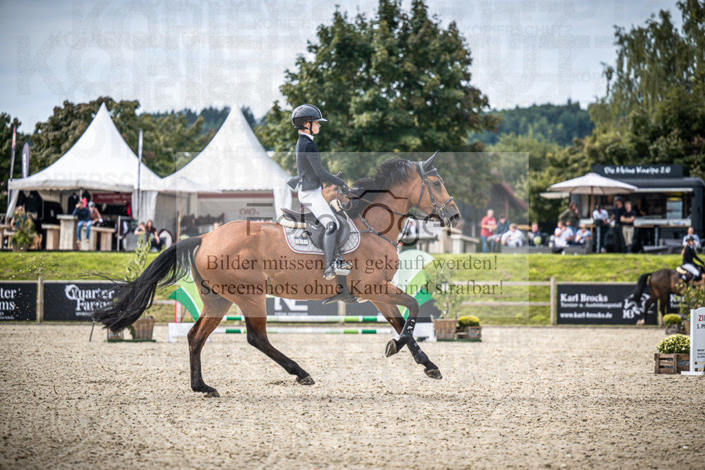 DOS_9117 | Entdecke hochwertige Reitturnierfotos von Foto Oger. Professionell, emotional und authentisch – jetzt Lieblingsmomente im Shop bestellen.Deutschlandweite Turnierfotografie. - Realisiert mit Pictrs.com