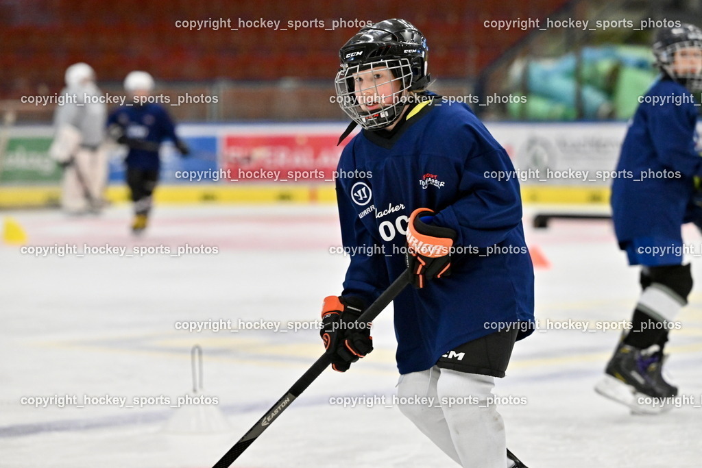 Z9B_1735 | hockey sports photos, Pressefotos, Sportfotos, hockey247, win 2day icehockeyleague, Handball Austria, Floorball Austria, ÖVV, Kärntner Eishockeyverband, KEHV, KFV, Kärntner Fussballverband, Österreichischer Volleyballverband, Alps Hockey League, ÖFB, 