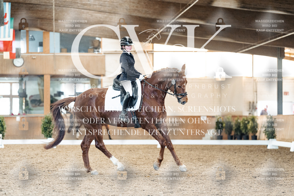 CK908368 | Turnierfotografie Pferdefotografie Trier Rheinland-Pfalz Pferdesport Reitsport Tierfotografie Sportfotografie Pferdevideo Pferdevideografie Equestrianvideography equestrianphotography  - Realisiert mit Pictrs.com