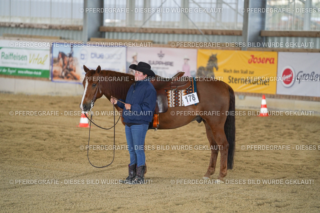 DSC00965 | Pferdegrafie