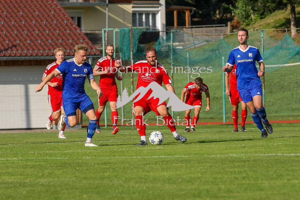 993T0452 | mitte, Michal Strajt