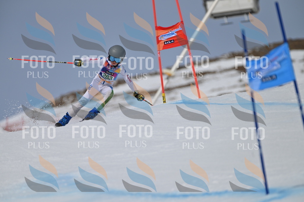 BGV_5620 | holidayphoto