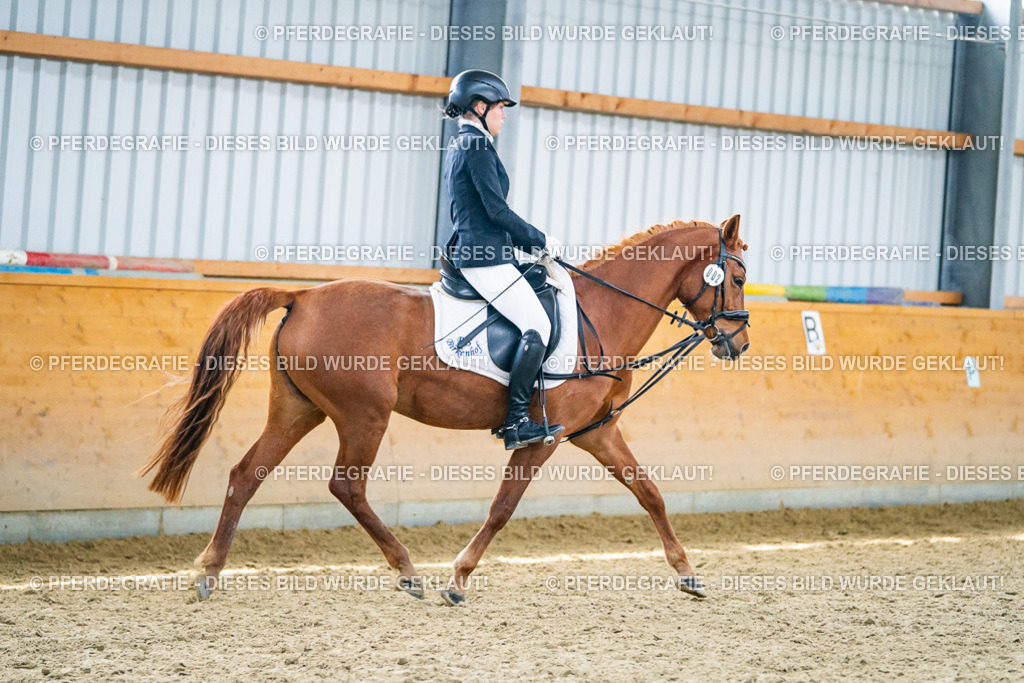 DSC03960 | Pferdegrafie