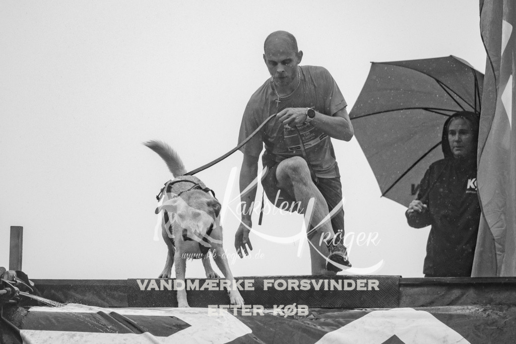 1024_ZZ90001-2 | kk-dogfotos