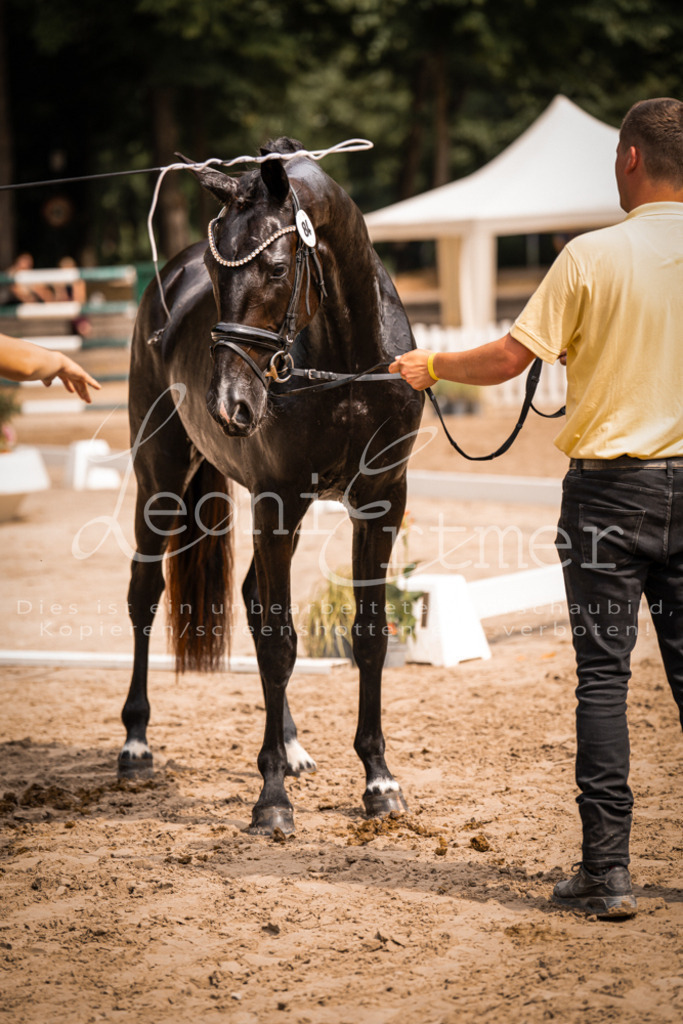 5.Fr00129 | Leoni Ertmer Photography - Realisiert mit Pictrs.com