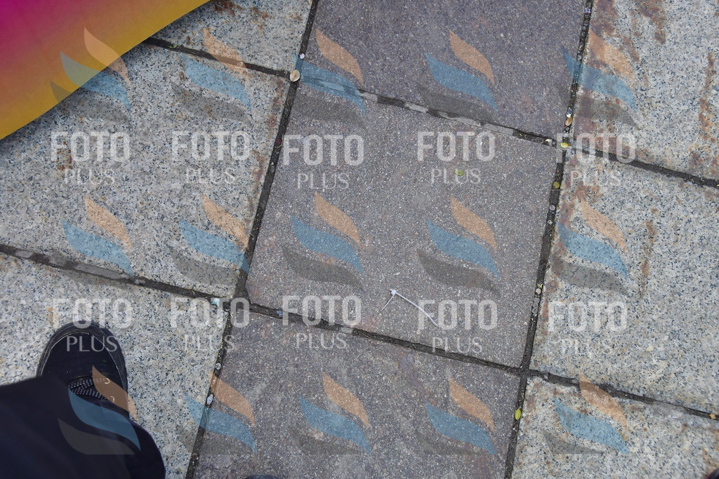 _DSC1700 | holidayphoto