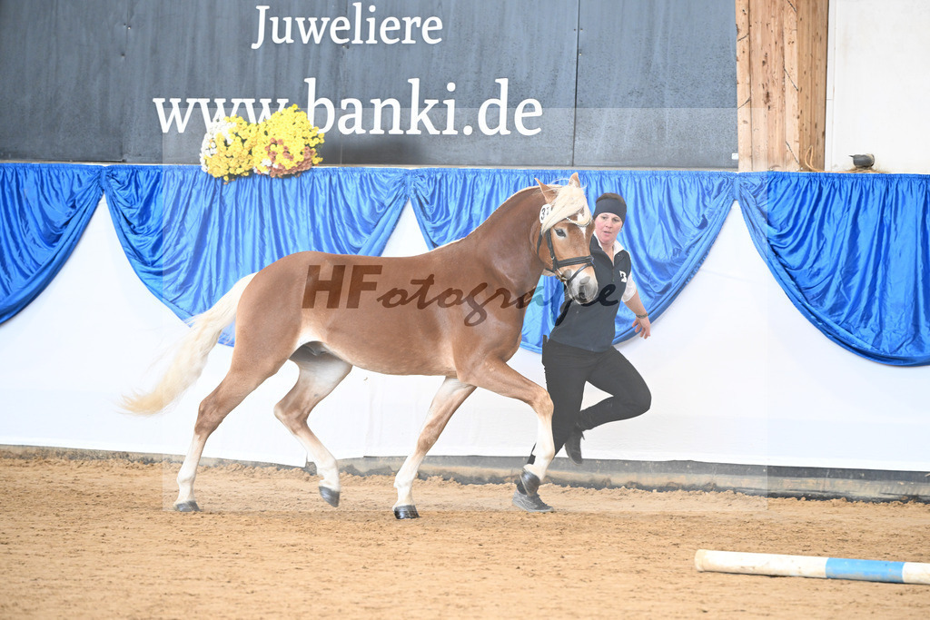 Kat-Nr. 31 Weinbrand v. Weingold S_Brugger_48251139 | hf-fotografie - Realisiert mit Pictrs.com