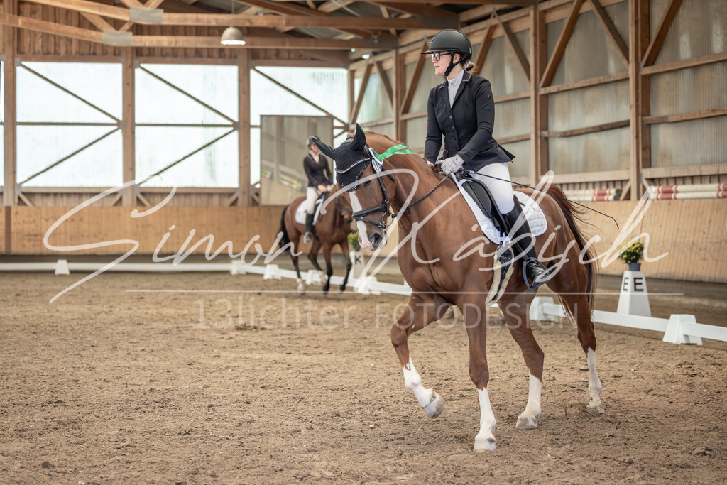 20251011-_3LI7391 | Tierfotografie Pferde, Hunde, Katzen, Haustiere.
Turnierfotografie Reitturniere, Reiten, Springreiten, Dressur in Hanau, dem Main-Kinzig-Kreis und dem Rhein-Main- Gebiet um Frankfurt