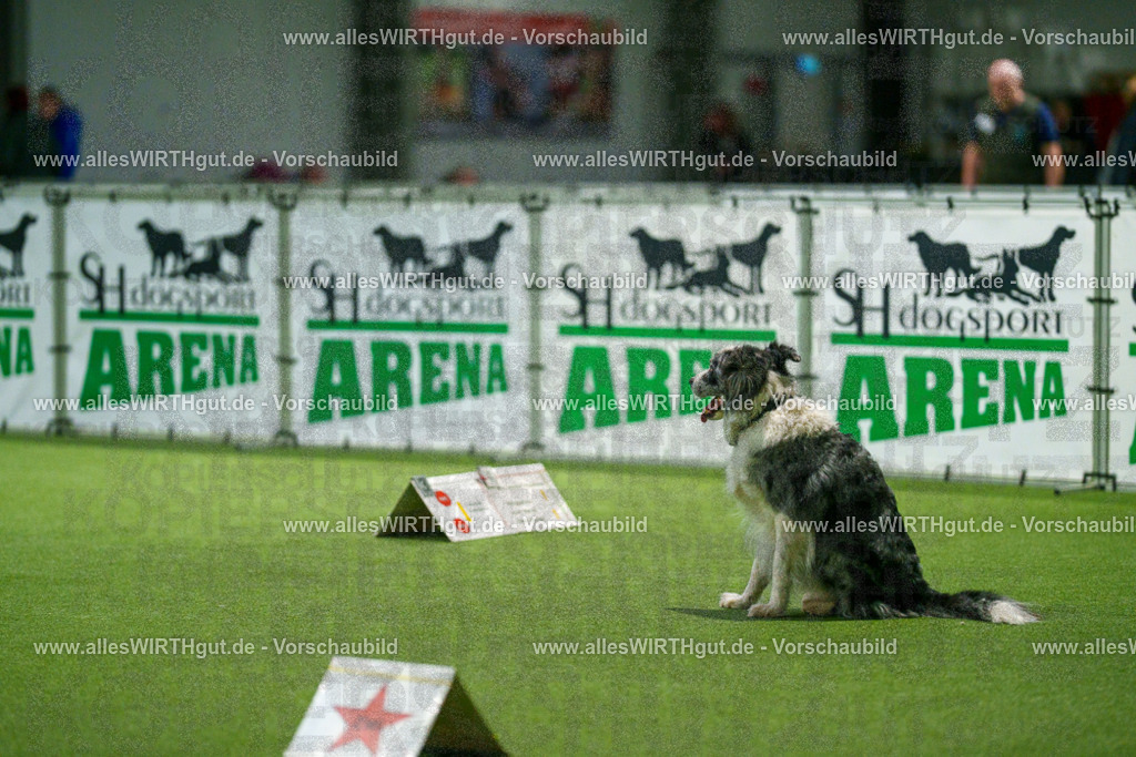 7R504424 | Professionelle Tierfotografie in Mönchengladbach von Daniel Wirth (allesWIRTHgut). Liebevolle & natürliche Bilder von Hunden & Katzen für unvergessliche Erinnerungen.