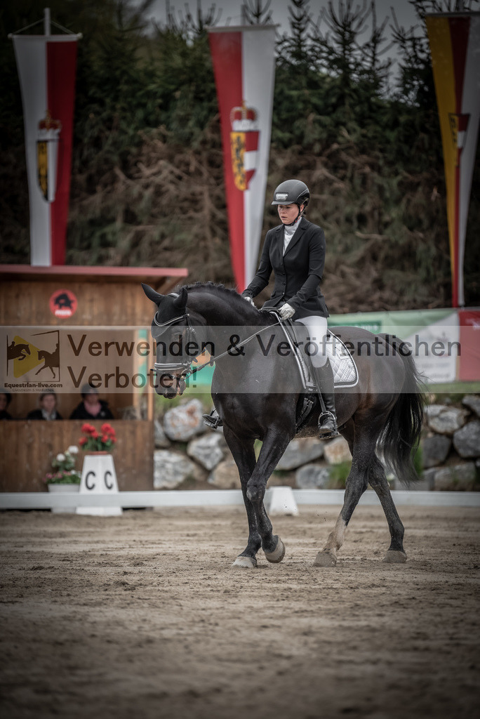 DSC_9326 | equestrian-live-com