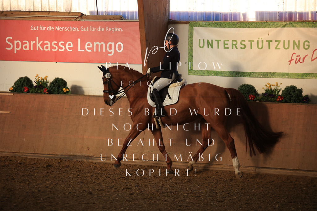 IMGT0128 | pl-fotografie