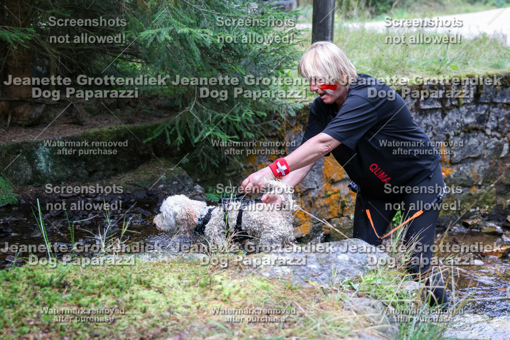 Dog Paparazzi -  TH 26-488 | Dog Paparazzi Jeanette Grottendiek Fotografie & Videografie - Realisiert mit Pictrs.com