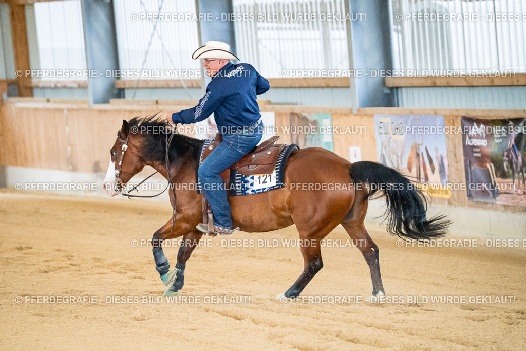 DSC08676 | Pferdegrafie