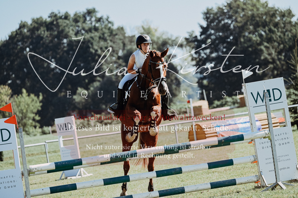DSC_5648 | Pferde- und Turnierfotografie in Westsachsen. Pferdeportraits, Auftragszeichnungen und intuitive Kunst.